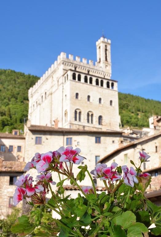 Del Duca Gubbio