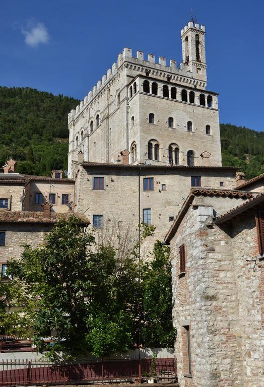 Del Duca * Gubbio